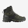 Ботинки Salomon QUEST 4 GTX Olive Night/Peat/Safari  - Спортик - магазин велосипедов и спортивных товаров