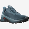 Кроссовки Salomon ALPHACROSS 3 GTX Legion Blue/Mallard Blue/Night Sky - Спортик - магазин велосипедов и спортивного инвентаря