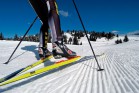 Беговые лыжи - Спортик - спортивные товары и тренажеры