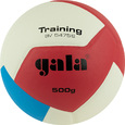 Волейбольный мяч GALA Training Heavy 12 - Спортик - магазин велосипедов и спортивных товаров