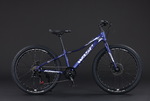 Велосипед WASP Fly 24" rigid - Спортик - магазин велосипедов и спортивных товаров