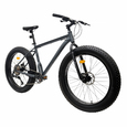 Велосипед фэт-байк 26"x4" рама 19" 1х10sp 11-42T COMIRON CHUBBY серый - Спортик - магазин велосипедов и спортивных товаров