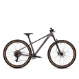 Велосипед Welt Rambler 29" - Спортик - магазин велосипедов и спортивных товаров