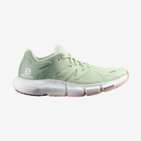 Кроссовки Salomon PREDICT2 W Spray/Granite Green/Blooming Dahlia - Спортик - магазин велосипедов и спортивных товаров