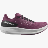 Кроссовки Salomon SPECTUR W Tulipwood/Lunar Rock/Grape Wine - Спортик - магазин велосипедов и спортивных товаров
