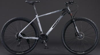 Велосипед WASP Scout 29" D - Спортик - магазин велосипедов и спортивных товаров