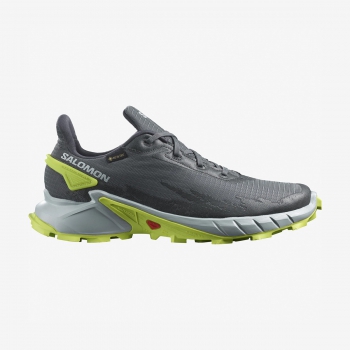 Кроссовки Salomon ALPHACROSS 4 GTX Ebony/Pearl Blue/Acid Lime - Спортик - магазин велосипедов и спортивного инвентаря