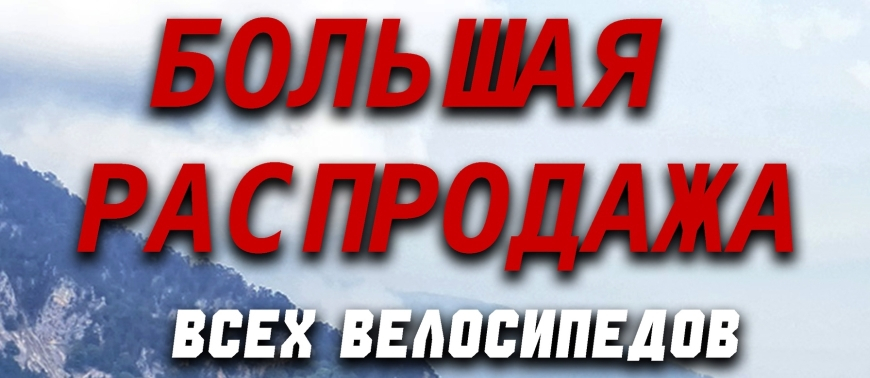 Большая распродажа